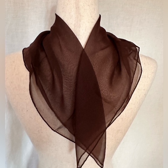 Rich Chocolatey Brown Scarf/Purse Twilly Sheer
 - Picture 1 of 4